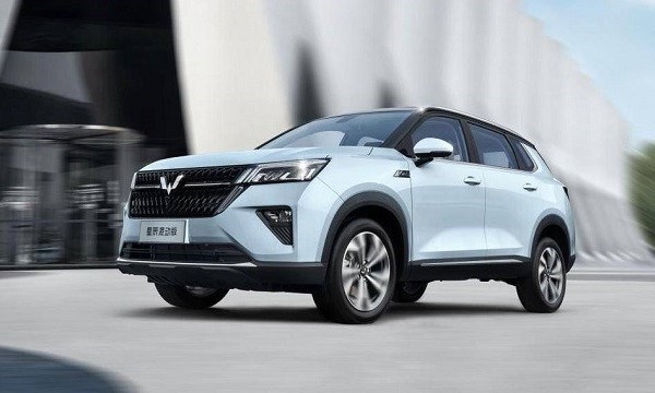 中国人保携手丽水市元昇汽车线上团购会