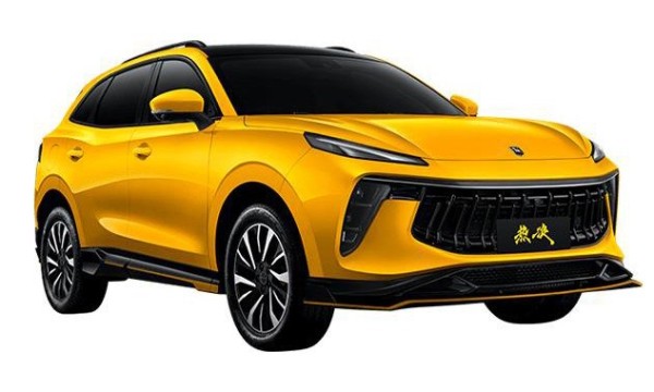 中国人保携手丽水市丰行汽车线上团购会