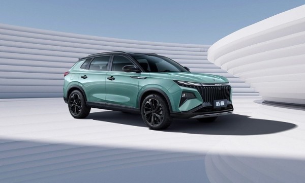 中国人保携手丽水丰行汽车线上团购会