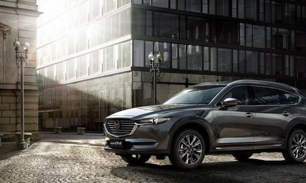 中国人保携手浙江裕菲汽车购车嘉年华