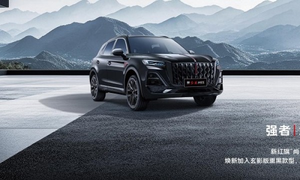 中国人保携手杭州广旗汽车购车嘉年华